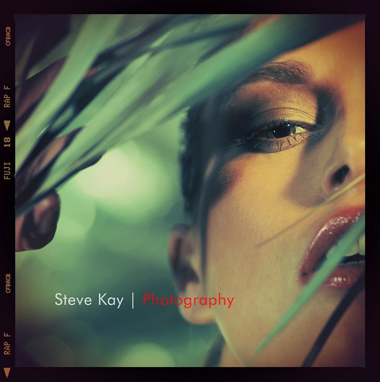 Steve Kay