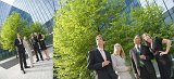 TP_BusinessWorld_Tree_400x870_q10.jpg