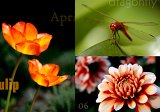 LA_Zusammenstellung_Blumen_1_400x570_q10.jpg
